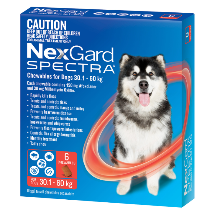 澳洲NexGard Spectra 大型犬咀嚼片 紅色 30.1-60Kg 6包 效期07/2026