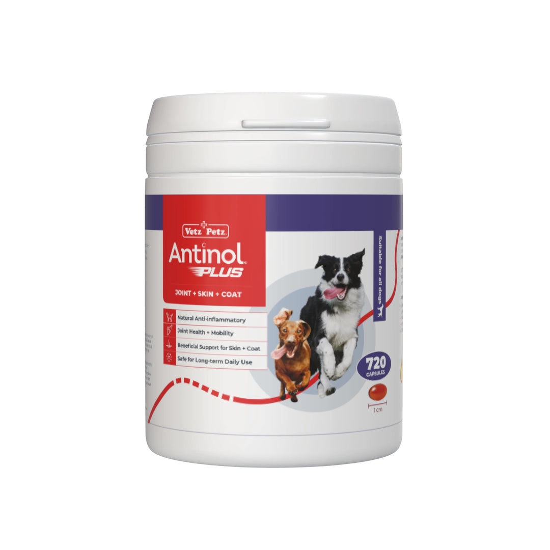 澳洲版 Antinol Plus狗專用大容量720粒 (含EAB-277)