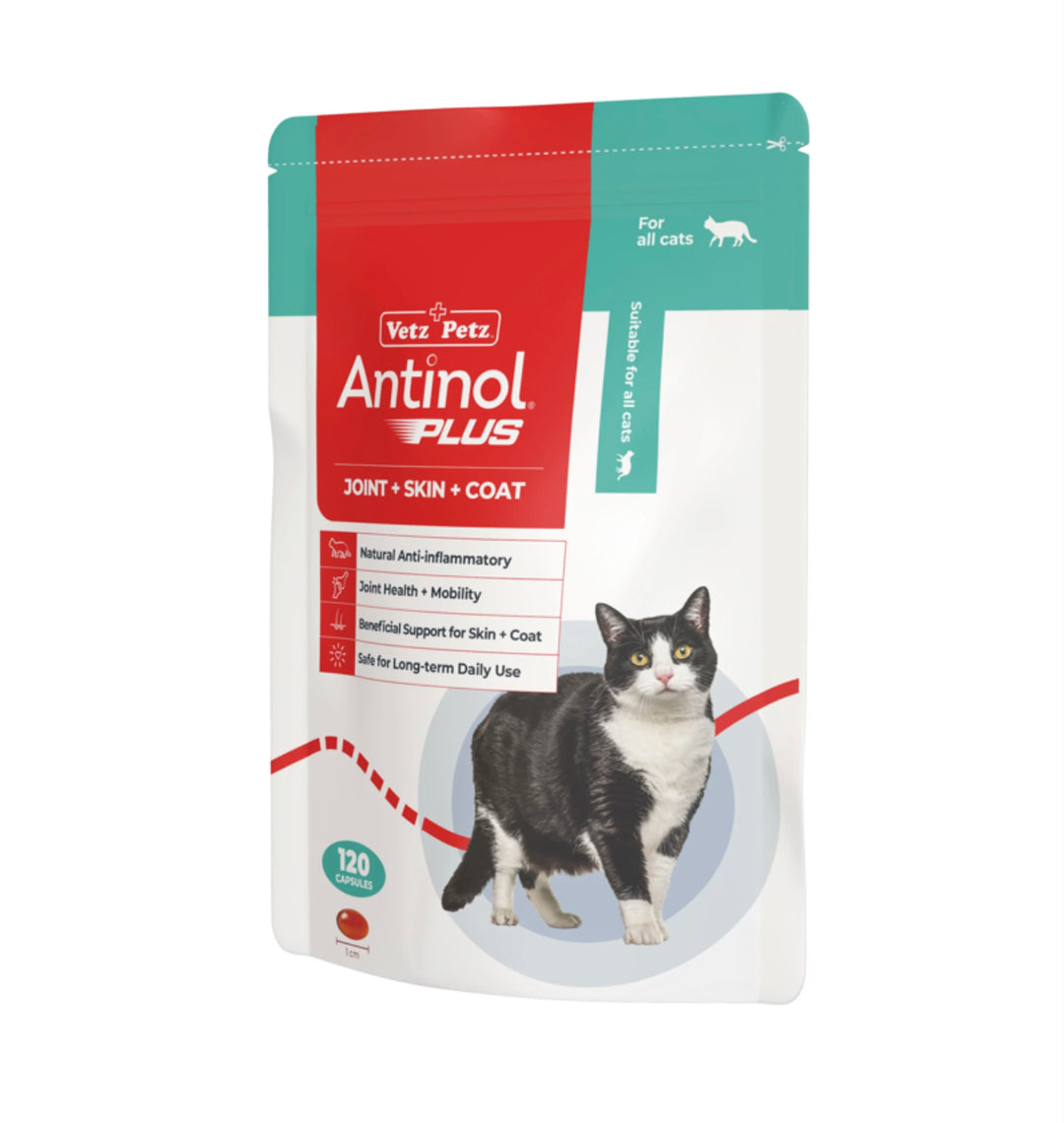 澳洲版 Antinol Plus貓咪專用120粒
