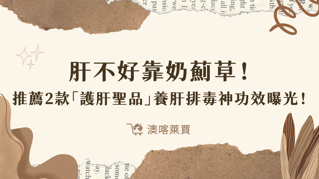 肝不好靠奶薊草！推薦2款「護肝聖品」　養肝排毒神功效曝光！