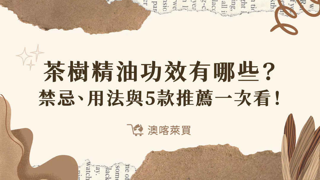 茶樹精油功效有哪些？禁忌、用法與 5 款超夯商品推薦一次看！